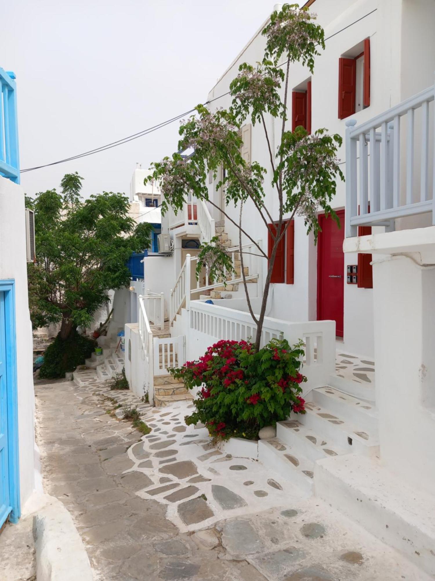 Alex Oldtown Sea View Rooms And Appartments Mykonos Town ภายนอก รูปภาพ