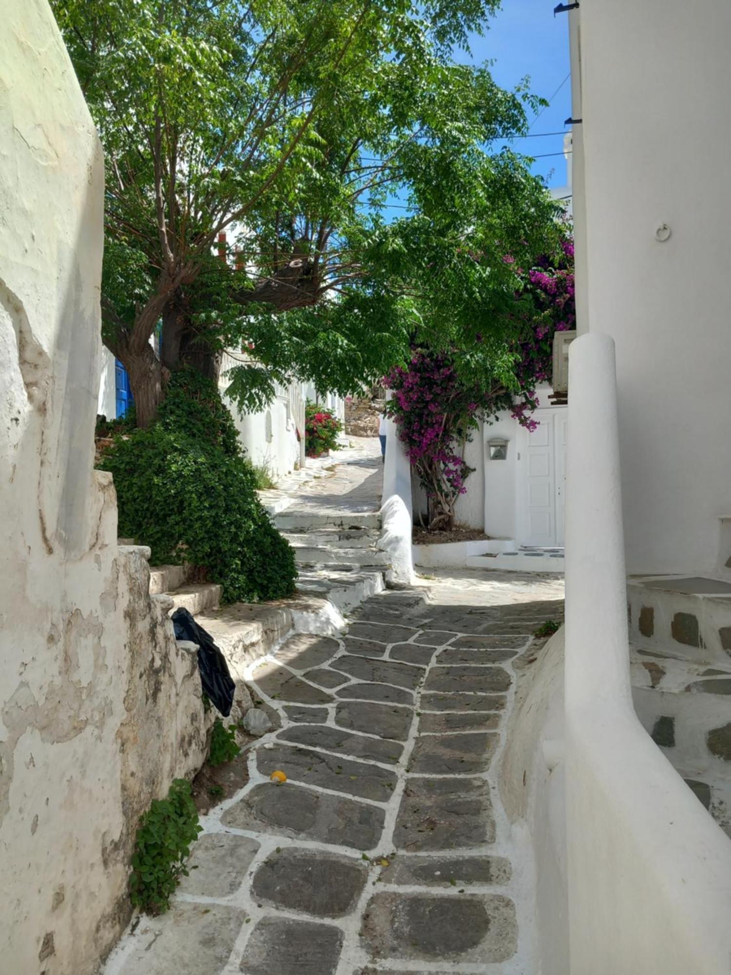 Alex Oldtown Sea View Rooms And Appartments Mykonos Town ห้อง รูปภาพ