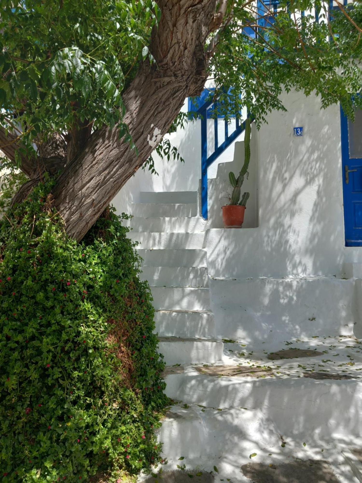 Alex Oldtown Sea View Rooms And Appartments Mykonos Town ห้อง รูปภาพ