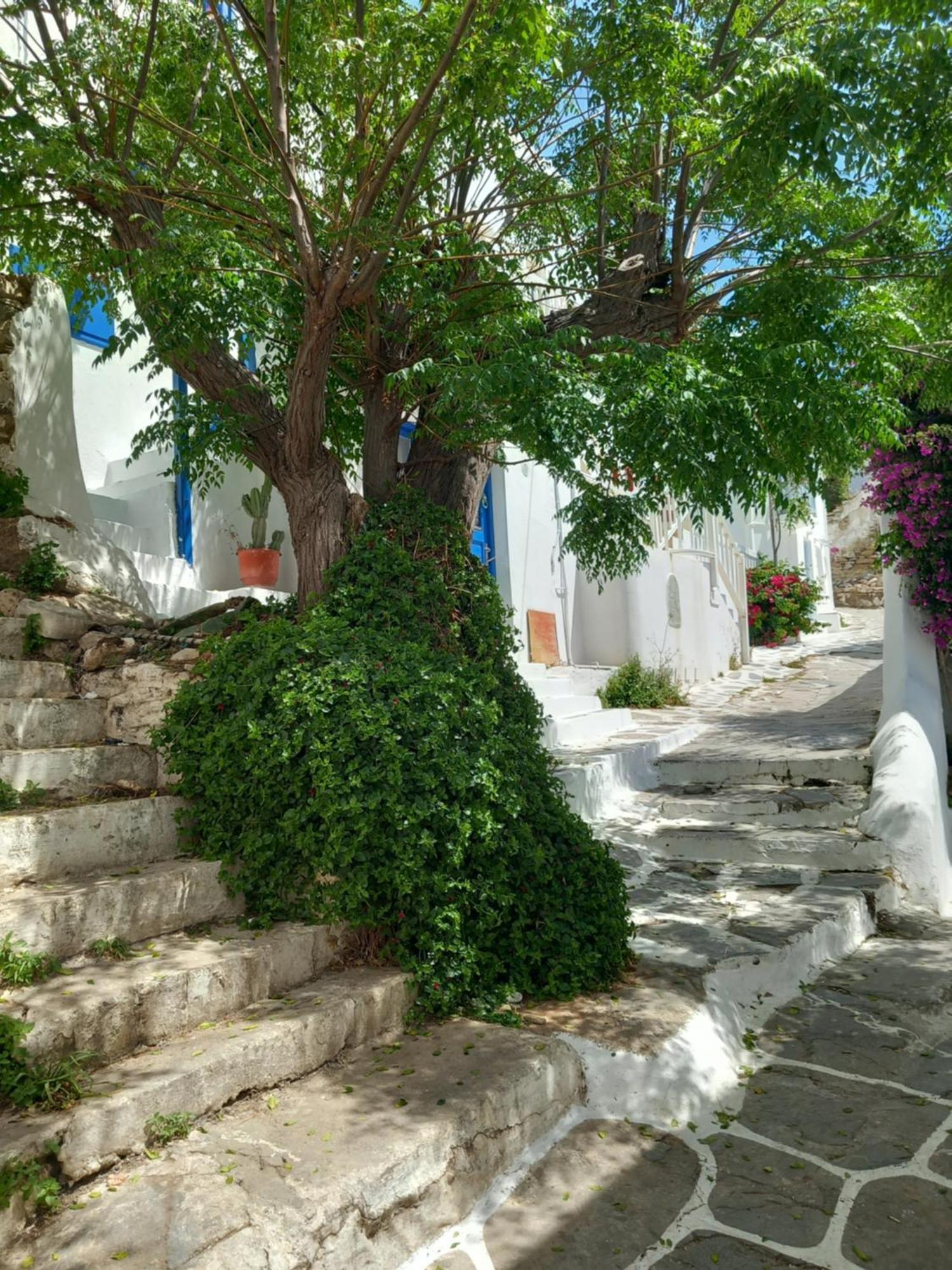 Alex Oldtown Sea View Rooms And Appartments Mykonos Town ภายนอก รูปภาพ